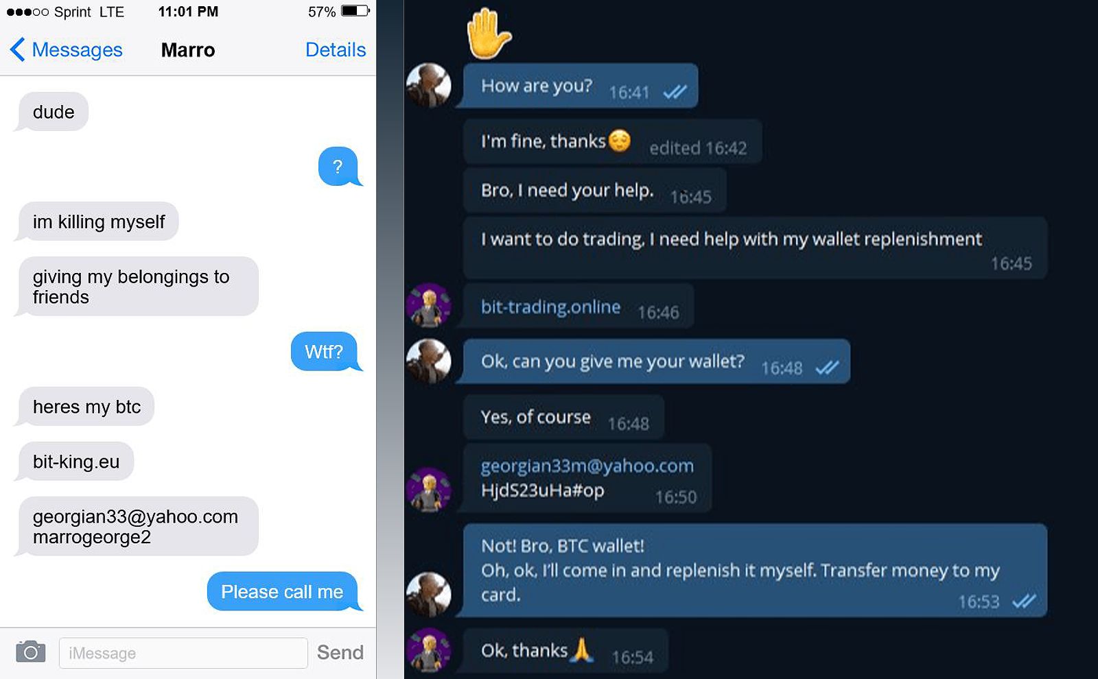 Fake cryptocurrency account screenshot