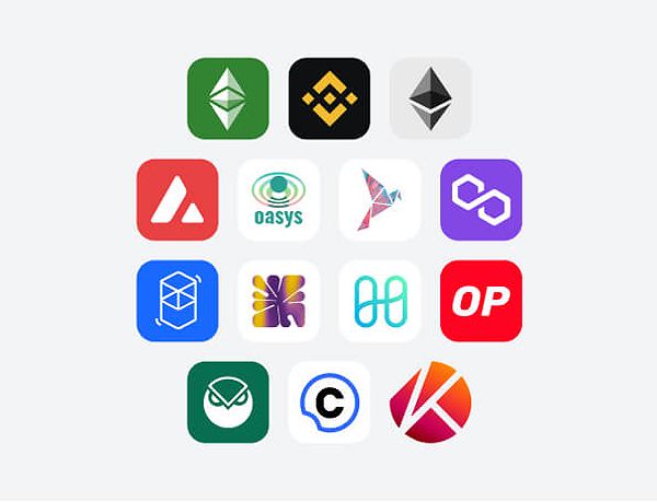 Supported blockchain networks