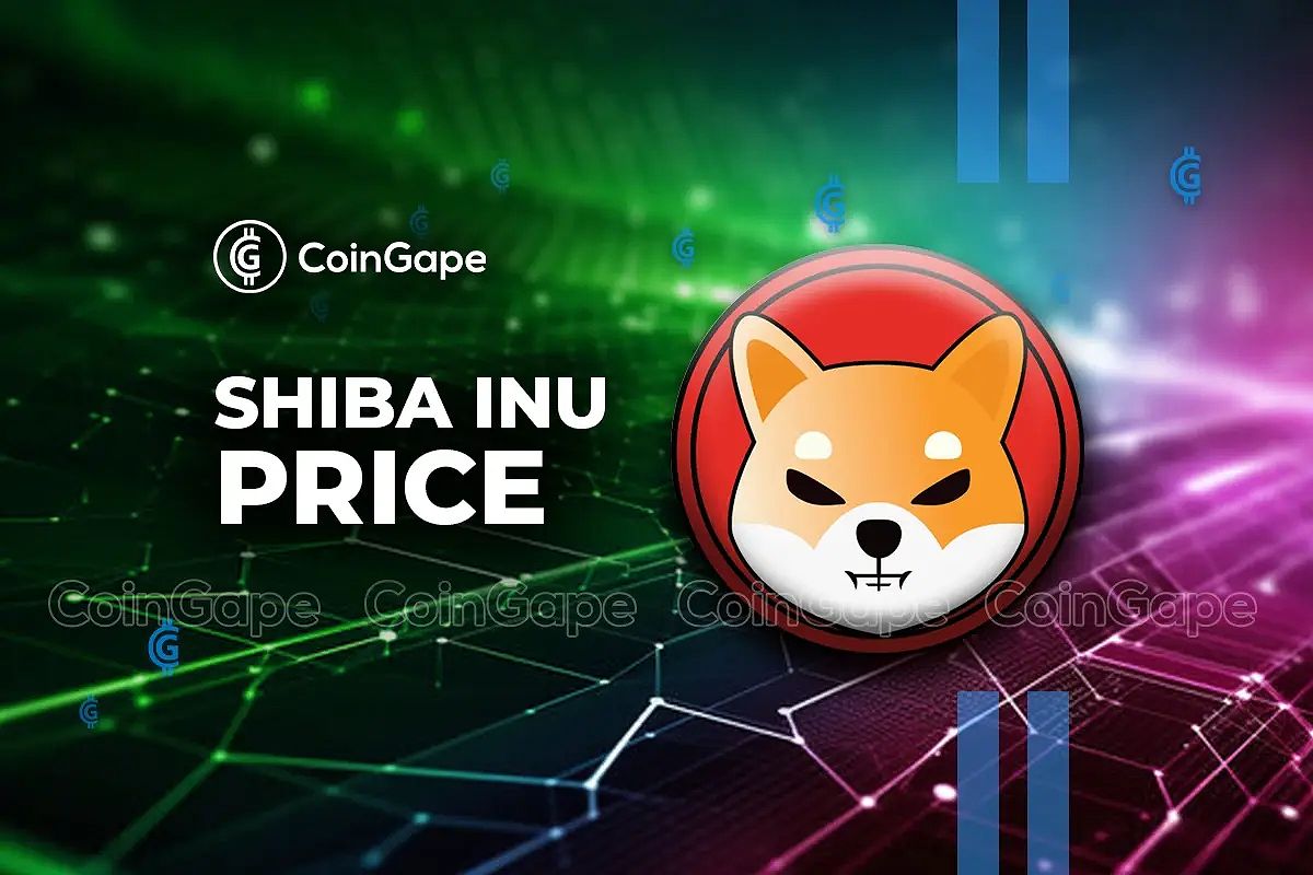 Shiba Inu Coin Price Prediction As Market Faces Corrections. Is It Time to Buy?